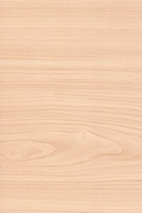 МДФ Клен МДФ Клен