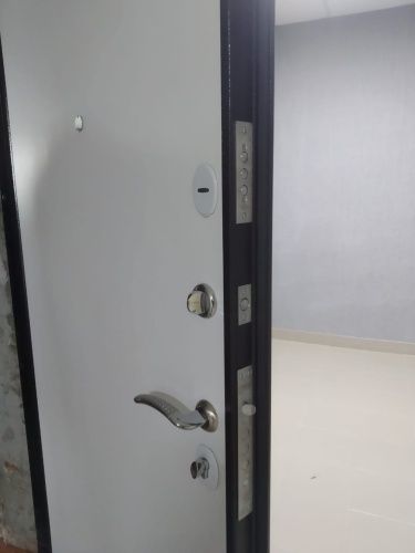 Входная дверь в квартиру Delta-10M Медь Дуб белый матовый фото 2 Входная дверь в квартиру Delta-10M Медь Дуб белый матовый фото 2