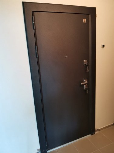 Центурион ЛЮКС-10-2024 Графит муар-Ясень скандинавский фото 3