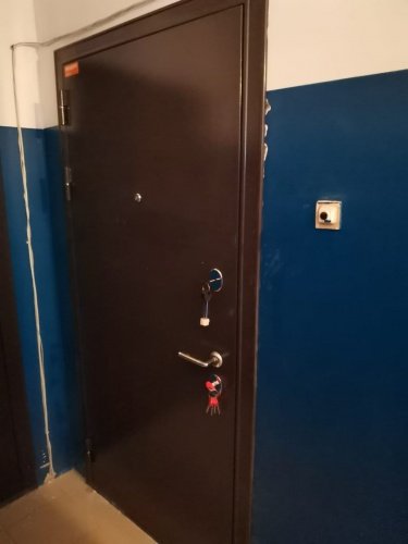 Мастино (Бульдорс) TRUST MASS 136 (Букле шоколад-Ларче шоколад) фото 4 Мастино (Бульдорс) TRUST MASS 136 (Букле шоколад-Ларче шоколад) фото 4