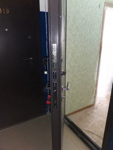 Мастино (Бульдорс) TRUST MASS 136 (Букле шоколад-Ларче шоколад) фото 3 Мастино (Бульдорс) TRUST MASS 136 (Букле шоколад-Ларче шоколад) фото 3