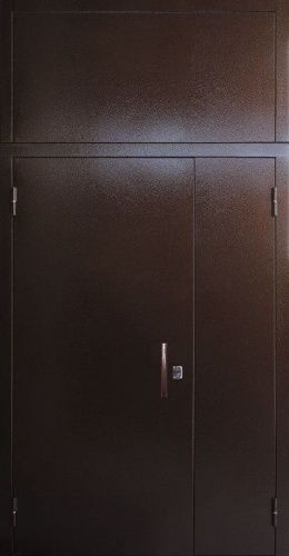 Двухстворчатая высокая уличная дверь с фрамугой (металл-металл) Двухстворчатая высокая уличная дверь с фрамугой (металл-металл)